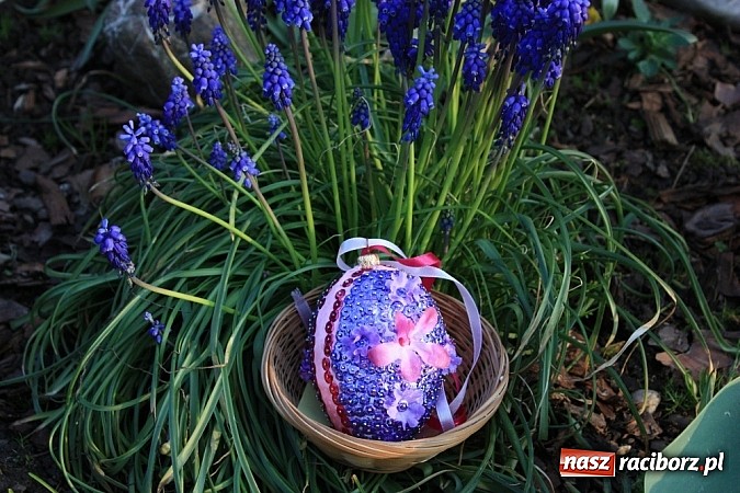 Zdjęcie w galerii na portalu naszraciborz.pl: Znamy najładniejsze krzanowickie pisanki wiadomości z regionu