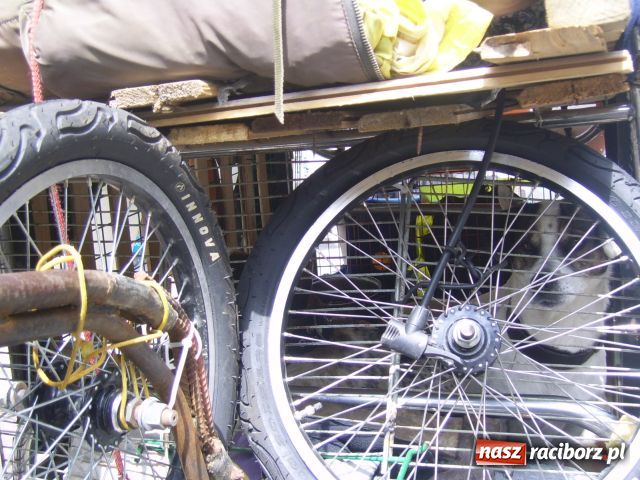 Zdjęcie w galerii na portalu naszraciborz.pl: Podróżuje, by być młodym wiadomości z regionu