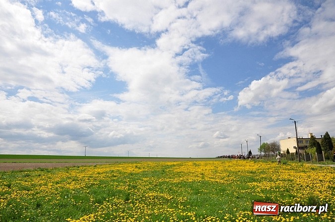 Zdjęcie w galerii na portalu naszraciborz.pl: Rekordowa procesja w Raciborzu-Sudole. Premier Jerzy Buzek na czele wiadomości z regionu