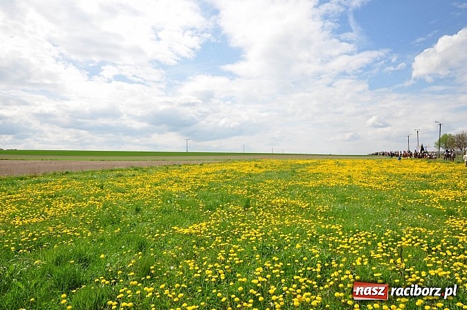 Zdjęcie w galerii na portalu naszraciborz.pl: Rekordowa procesja w Raciborzu-Sudole. Premier Jerzy Buzek na czele wiadomości z regionu