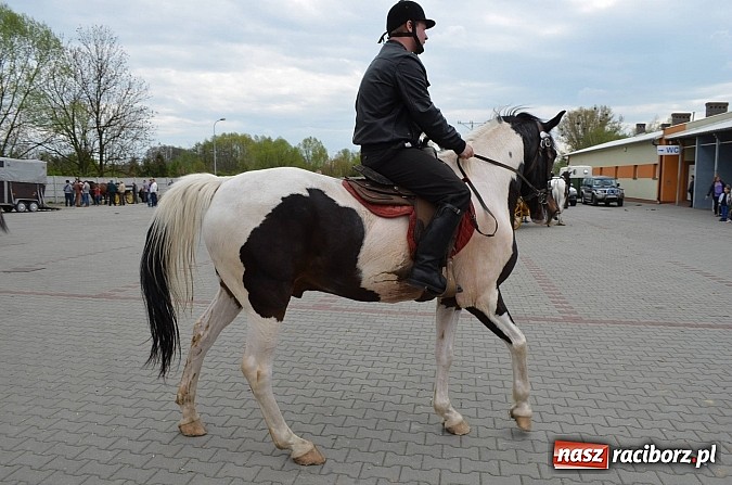 Zdjęcie w galerii na portalu naszraciborz.pl: W Pietrowicach Wielkich szli do cudownego obrazu a potem na obchód pól wiadomości z regionu