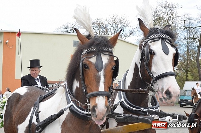 Zdjęcie w galerii na portalu naszraciborz.pl: W Pietrowicach Wielkich szli do cudownego obrazu a potem na obchód pól wiadomości z regionu
