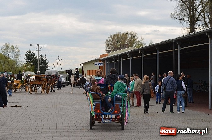Zdjęcie w galerii na portalu naszraciborz.pl: W Pietrowicach Wielkich szli do cudownego obrazu a potem na obchód pól wiadomości z regionu