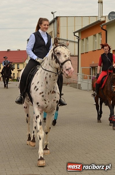 Zdjęcie w galerii na portalu naszraciborz.pl: W Pietrowicach Wielkich szli do cudownego obrazu a potem na obchód pól wiadomości z regionu
