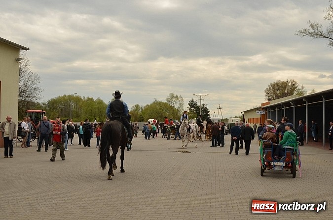 Zdjęcie w galerii na portalu naszraciborz.pl: W Pietrowicach Wielkich szli do cudownego obrazu a potem na obchód pól wiadomości z regionu