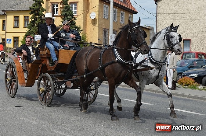 Zdjęcie w galerii na portalu naszraciborz.pl: W Pietrowicach Wielkich szli do cudownego obrazu a potem na obchód pól wiadomości z regionu