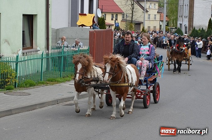 Zdjęcie w galerii na portalu naszraciborz.pl: W Pietrowicach Wielkich szli do cudownego obrazu a potem na obchód pól wiadomości z regionu