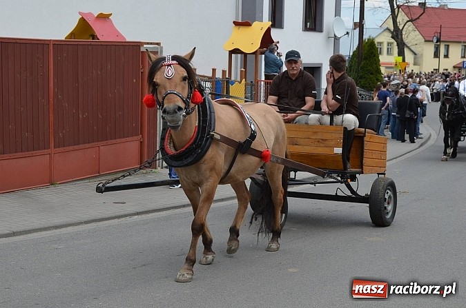 Zdjęcie w galerii na portalu naszraciborz.pl: W Pietrowicach Wielkich szli do cudownego obrazu a potem na obchód pól wiadomości z regionu