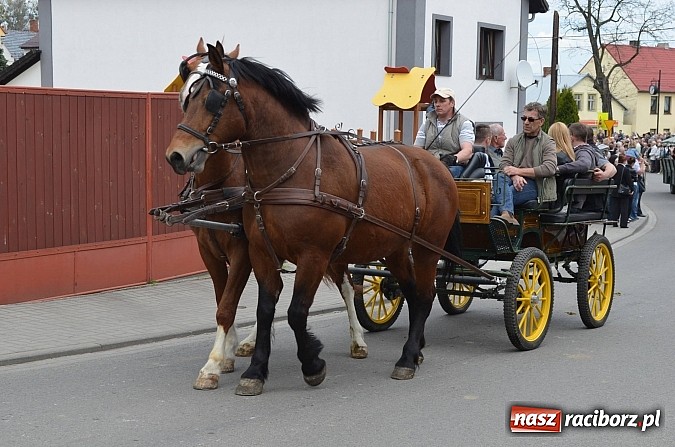 Zdjęcie w galerii na portalu naszraciborz.pl: W Pietrowicach Wielkich szli do cudownego obrazu a potem na obchód pól wiadomości z regionu