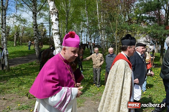 Zdjęcie w galerii na portalu naszraciborz.pl: W Pietrowicach Wielkich szli do cudownego obrazu a potem na obchód pól wiadomości z regionu