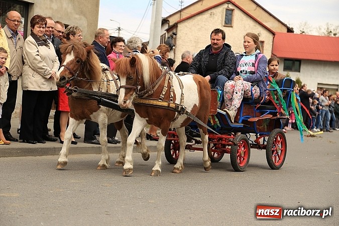 Zdjęcie w galerii na portalu naszraciborz.pl: W Pietrowicach Wielkich szli do cudownego obrazu a potem na obchód pól wiadomości z regionu