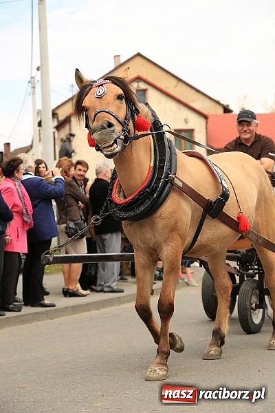 Zdjęcie w galerii na portalu naszraciborz.pl: W Pietrowicach Wielkich szli do cudownego obrazu a potem na obchód pól wiadomości z regionu