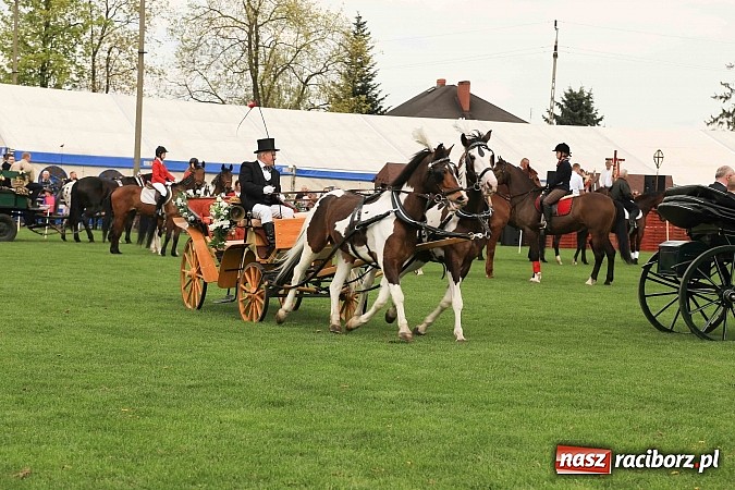 Zdjęcie w galerii na portalu naszraciborz.pl: W Pietrowicach Wielkich szli do cudownego obrazu a potem na obchód pól wiadomości z regionu