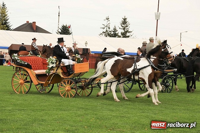 Zdjęcie w galerii na portalu naszraciborz.pl: W Pietrowicach Wielkich szli do cudownego obrazu a potem na obchód pól wiadomości z regionu