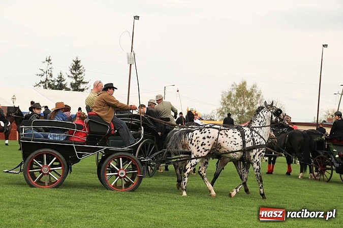 Zdjęcie w galerii na portalu naszraciborz.pl: W Pietrowicach Wielkich szli do cudownego obrazu a potem na obchód pól wiadomości z regionu