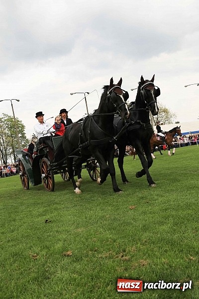 Zdjęcie w galerii na portalu naszraciborz.pl: W Pietrowicach Wielkich szli do cudownego obrazu a potem na obchód pól wiadomości z regionu