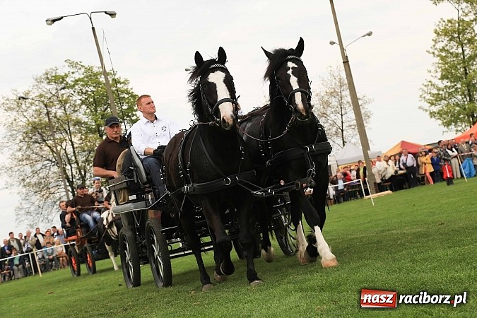 Zdjęcie w galerii na portalu naszraciborz.pl: W Pietrowicach Wielkich szli do cudownego obrazu a potem na obchód pól wiadomości z regionu