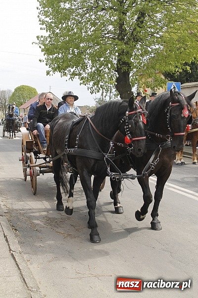 Zdjęcie w galerii na portalu naszraciborz.pl: W Bieńkowicach szli po polach starodawnym zwyczajem wiadomości z regionu