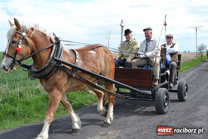 Zdjęcie w galerii na portalu naszraciborz.pl: W Bieńkowicach szli po polach starodawnym zwyczajem wiadomości z regionu