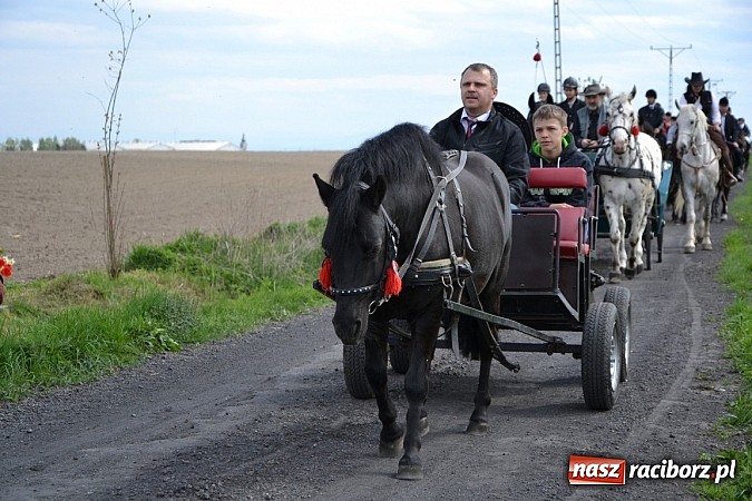 Zdjęcie w galerii na portalu naszraciborz.pl: W Bieńkowicach szli po polach starodawnym zwyczajem wiadomości z regionu