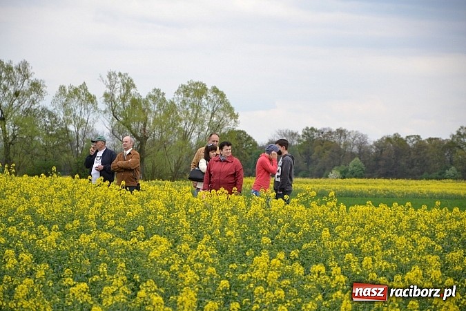 Zdjęcie w galerii na portalu naszraciborz.pl: W Bieńkowicach szli po polach starodawnym zwyczajem wiadomości z regionu