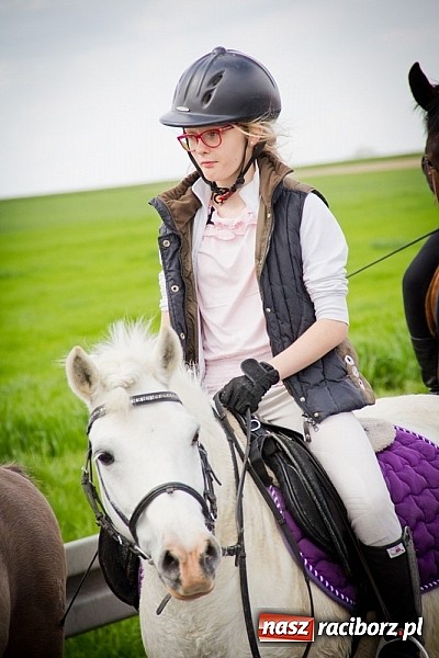 Zdjęcie w galerii na portalu naszraciborz.pl: Sudolskie wielkanocne rajtowanie, czyli cwałem po Topolowej wiadomości z regionu