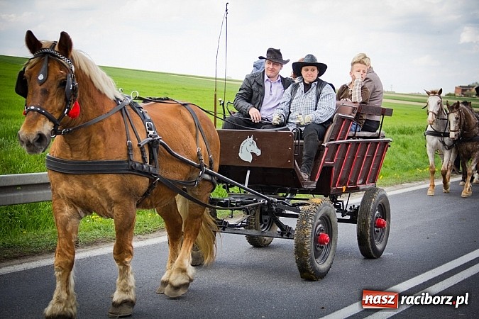 Zdjęcie w galerii na portalu naszraciborz.pl: Sudolskie wielkanocne rajtowanie, czyli cwałem po Topolowej wiadomości z regionu