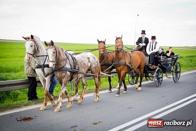 Zdjęcie w galerii na portalu naszraciborz.pl: Sudolskie wielkanocne rajtowanie, czyli cwałem po Topolowej wiadomości z regionu