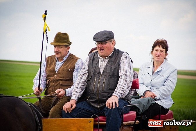 Zdjęcie w galerii na portalu naszraciborz.pl: Sudolskie wielkanocne rajtowanie, czyli cwałem po Topolowej wiadomości z regionu