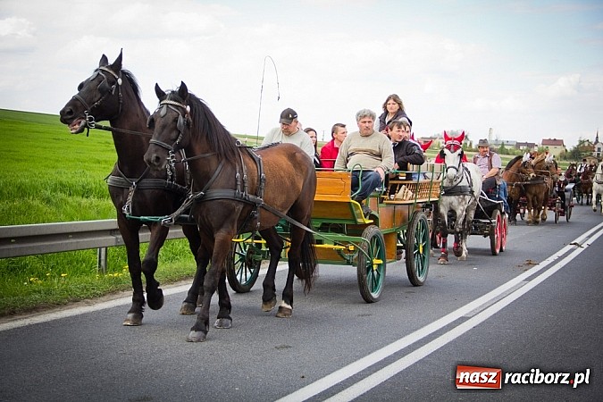 Zdjęcie w galerii na portalu naszraciborz.pl: Sudolskie wielkanocne rajtowanie, czyli cwałem po Topolowej wiadomości z regionu
