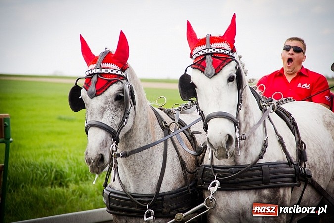 Zdjęcie w galerii na portalu naszraciborz.pl: Sudolskie wielkanocne rajtowanie, czyli cwałem po Topolowej wiadomości z regionu