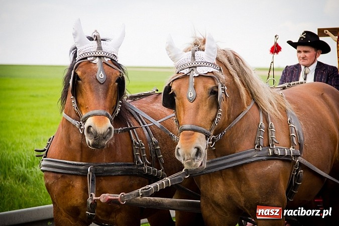 Zdjęcie w galerii na portalu naszraciborz.pl: Sudolskie wielkanocne rajtowanie, czyli cwałem po Topolowej wiadomości z regionu