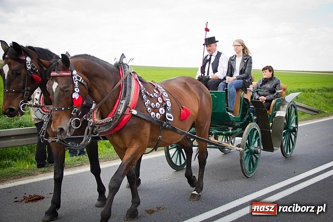 Zdjęcie w galerii na portalu naszraciborz.pl: Sudolskie wielkanocne rajtowanie, czyli cwałem po Topolowej wiadomości z regionu