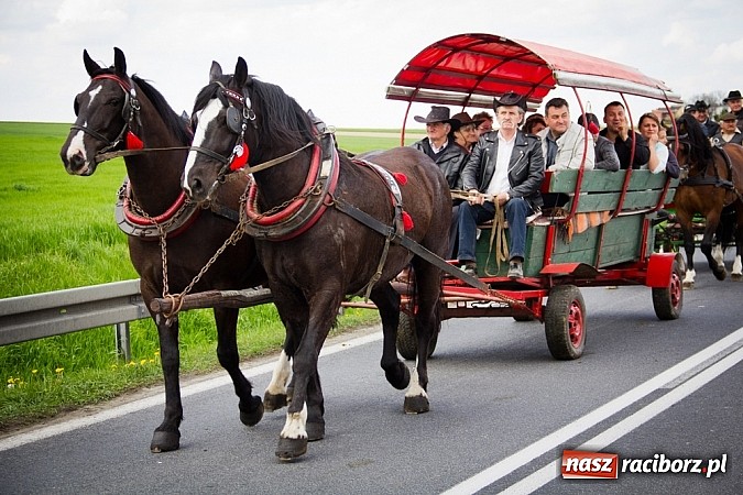 Zdjęcie w galerii na portalu naszraciborz.pl: Sudolskie wielkanocne rajtowanie, czyli cwałem po Topolowej wiadomości z regionu