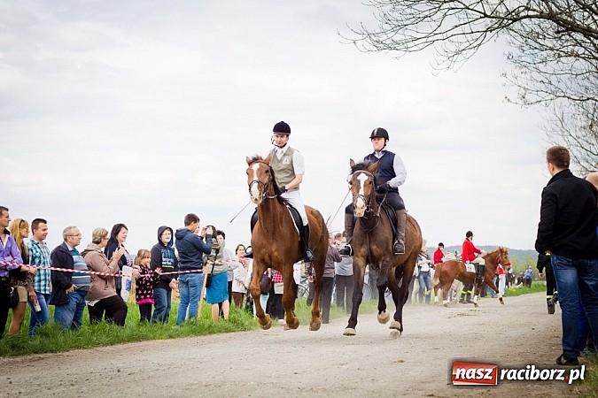 Zdjęcie w galerii na portalu naszraciborz.pl: Sudolskie wielkanocne rajtowanie, czyli cwałem po Topolowej wiadomości z regionu