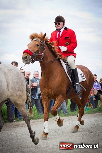 Zdjęcie w galerii na portalu naszraciborz.pl: Sudolskie wielkanocne rajtowanie, czyli cwałem po Topolowej wiadomości z regionu