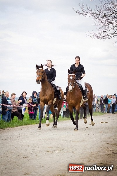 Zdjęcie w galerii na portalu naszraciborz.pl: Sudolskie wielkanocne rajtowanie, czyli cwałem po Topolowej wiadomości z regionu