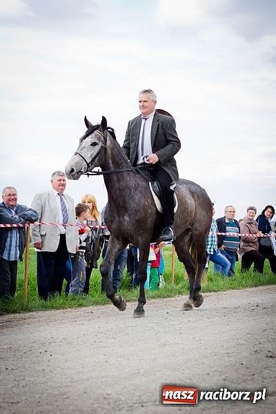 Zdjęcie w galerii na portalu naszraciborz.pl: Sudolskie wielkanocne rajtowanie, czyli cwałem po Topolowej wiadomości z regionu