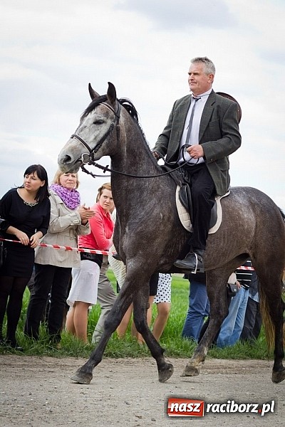 Zdjęcie w galerii na portalu naszraciborz.pl: Sudolskie wielkanocne rajtowanie, czyli cwałem po Topolowej wiadomości z regionu