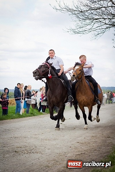 Zdjęcie w galerii na portalu naszraciborz.pl: Sudolskie wielkanocne rajtowanie, czyli cwałem po Topolowej wiadomości z regionu