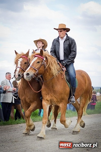 Zdjęcie w galerii na portalu naszraciborz.pl: Sudolskie wielkanocne rajtowanie, czyli cwałem po Topolowej wiadomości z regionu