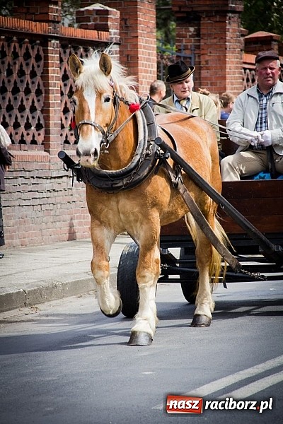 Zdjęcie w galerii na portalu naszraciborz.pl: Bieńkowickie błaganie sięga średniowiecza wiadomości z regionu