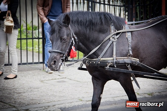 Zdjęcie w galerii na portalu naszraciborz.pl: Bieńkowickie błaganie sięga średniowiecza wiadomości z regionu