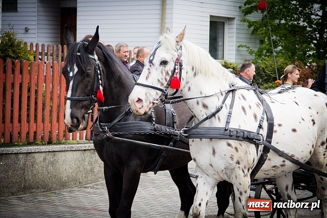 Zdjęcie w galerii na portalu naszraciborz.pl: Bieńkowickie błaganie sięga średniowiecza wiadomości z regionu
