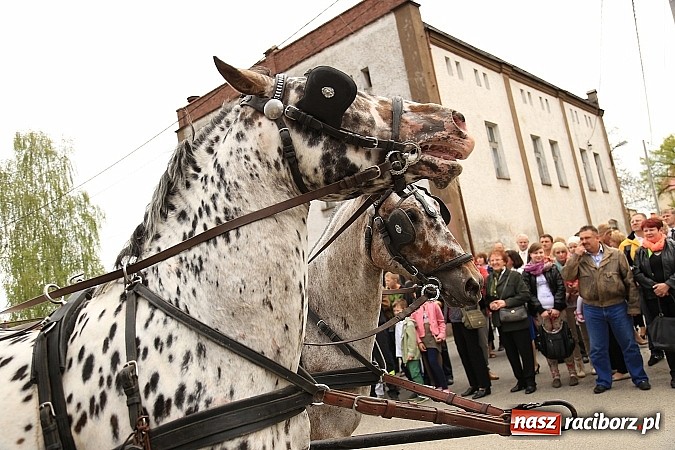 Zdjęcie w galerii na portalu naszraciborz.pl: Pietrowicka procesja raz jeszcze wiadomości z regionu