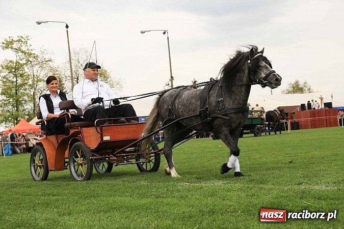 Zdjęcie w galerii na portalu naszraciborz.pl: Pietrowicka procesja raz jeszcze wiadomości z regionu