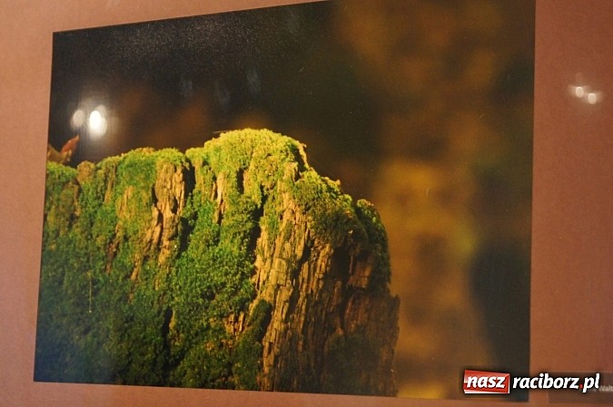Zdjęcie w galerii na portalu naszraciborz.pl: Uwiecznione światło, barwa i kreska w galerii RCK wiadomości z regionu