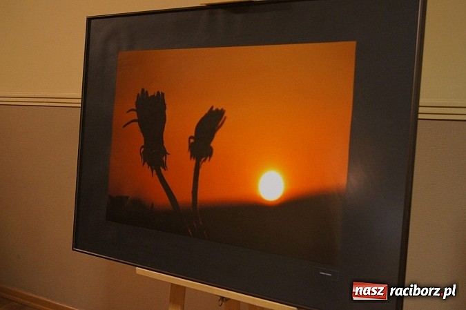 Zdjęcie w galerii na portalu naszraciborz.pl: Uwiecznione światło, barwa i kreska w galerii RCK wiadomości z regionu