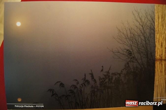 Zdjęcie w galerii na portalu naszraciborz.pl: Uwiecznione światło, barwa i kreska w galerii RCK wiadomości z regionu