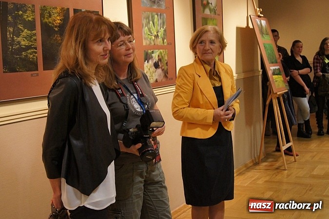 Zdjęcie w galerii na portalu naszraciborz.pl: Uwiecznione światło, barwa i kreska w galerii RCK wiadomości z regionu